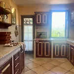 Val Delle Vigne